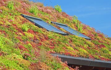 Davidstow living roof systems